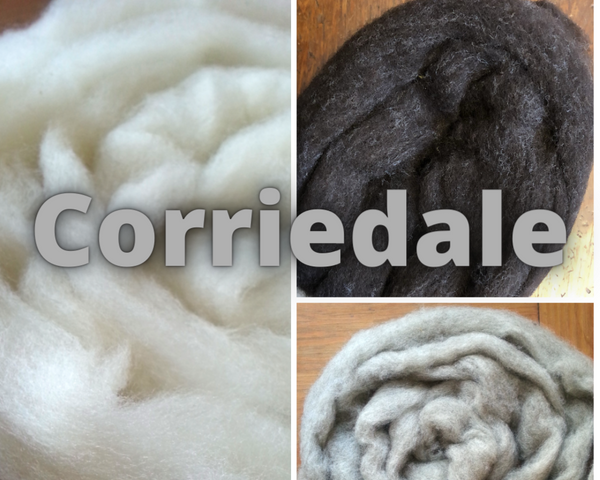 Bulk Colorado-Grown Roving, Natural Colors 8 oz. – Dyers Wool