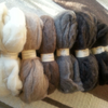Navajo Churro Wool Roving, Homegrown Natural Colors 4 oz.