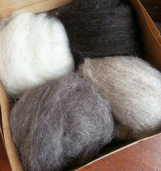 Bulk Colorado-Grown Roving, Natural Colors 8 oz. – Dyers Wool