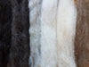 Shetland Wool Roving, Homegrown Natural Colors 4 oz.