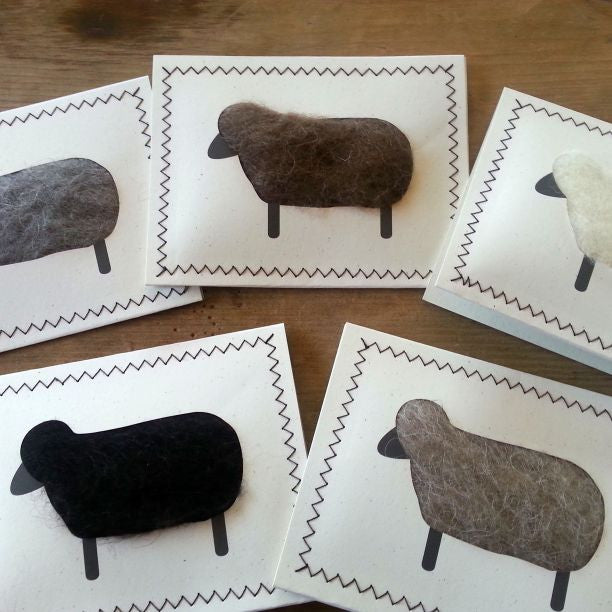 Unique Wool Sheep Notecards, Assorted (Set of 5)