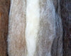 Navajo Churro Wool Roving, Homegrown Natural Colors 4 oz.