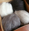 Wool Roving Sampler, Navajo Churro Colors Colorado-Grown