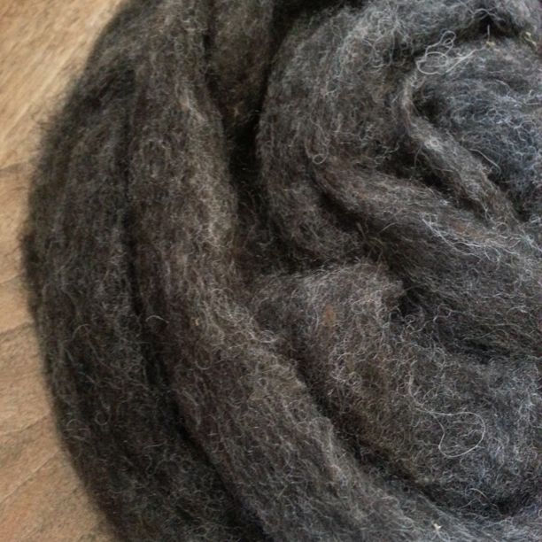 Shetland Wool Roving, Homegrown Natural Colors 4 oz. – Dyers Wool